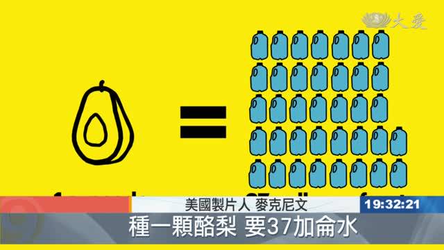 種一顆酪梨耗37加侖水居民忍受缺水苦 大愛新聞 Line Today