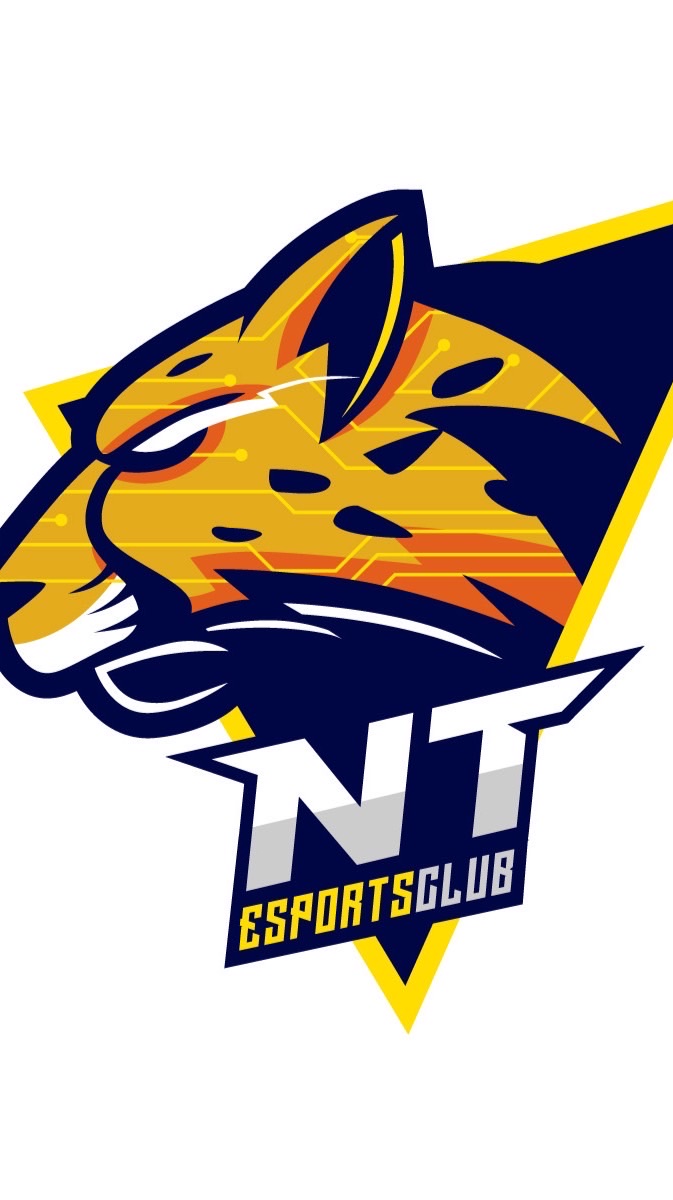 NT ESPORTS