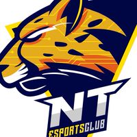 NT ESPORTS