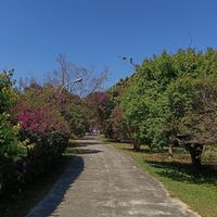 白髮樂活生活