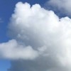 清雅書畫教室（書法、水墨）