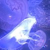 アタシだけ見てくれなきゃ苦しいの！！ ✴︎ ｍｍｍｒ愛重 緩