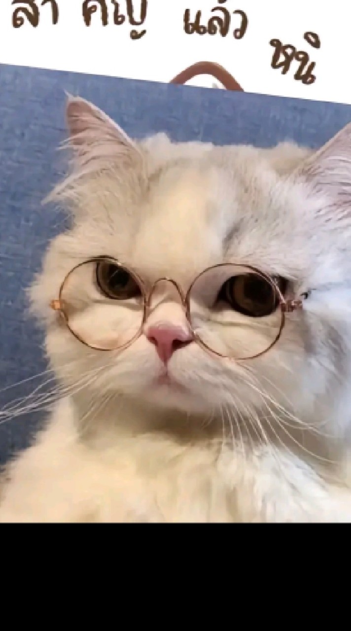 คนโสด💞💞