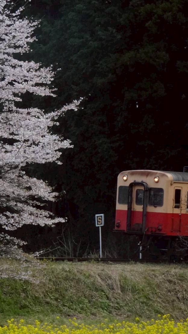 【雑談OK!】鉄道写真、動画、情報関係（スジ）など送りまくれ!