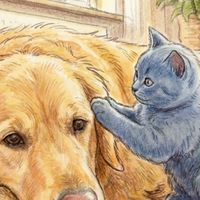 貓狗里民活動中心