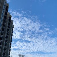 麗寶豐洲F棟群組