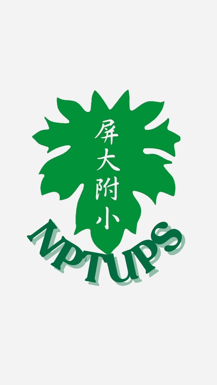 NPTUPS School Fair
