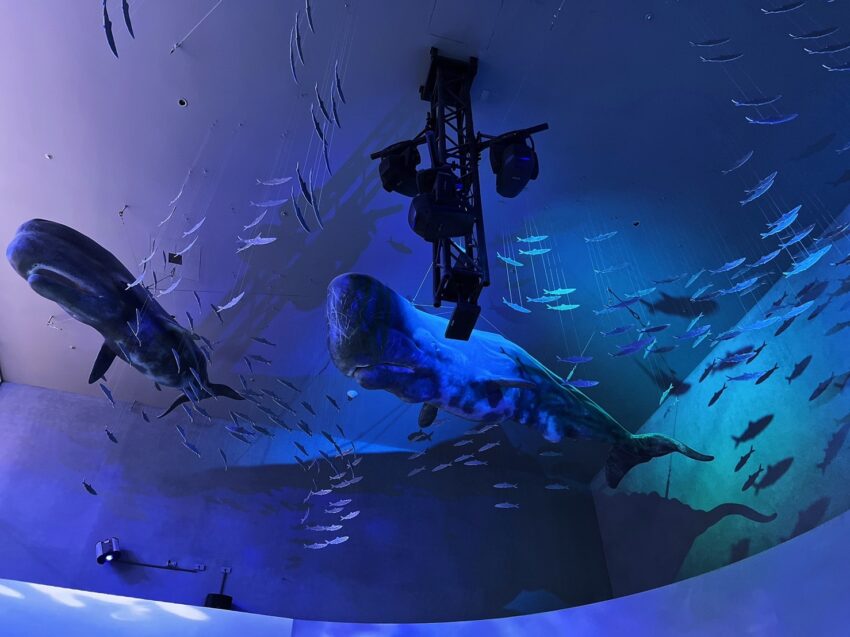 基隆一日遊推薦 基隆一日遊推薦｜海科館、潮境智能海洋館、潮境公園、正濱漁港彩色小屋、基隆夜市等5個亮點一次看 2 2023