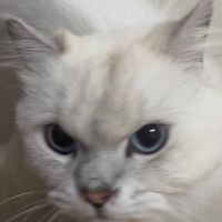 旅遊大亨-慕夏秋風