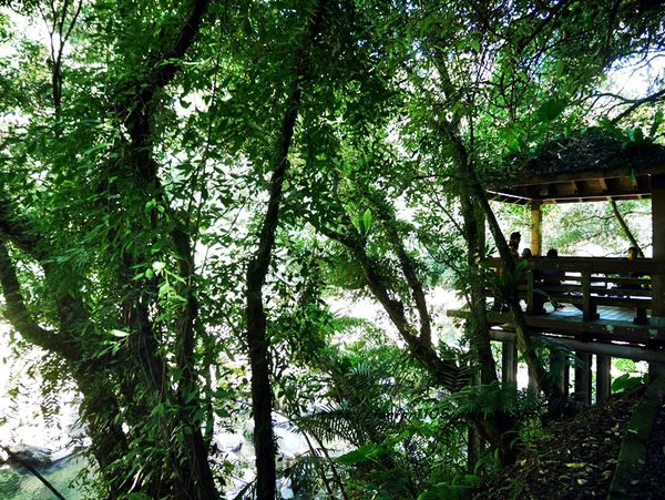 【石碇一日遊】#石碇老街 #必吃陳記養生恬點 #百年石頭屋 #不見天街 #淡蘭古道 #許家麵線 #千島湖 (48).JPG