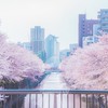 学生限定！雑談・恋バナ・青春オプ♪〜ゆるく楽しく語ろっ！〜
