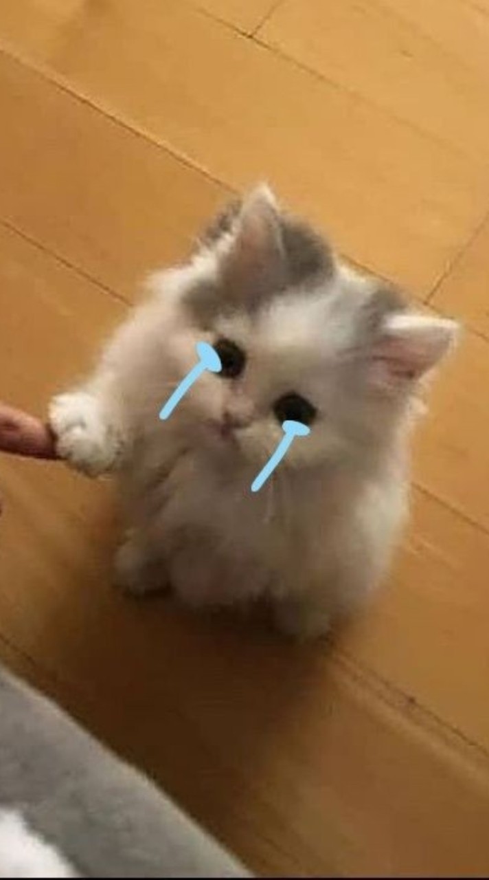 cr. ปอนน้อย/ cr 𝕻𝖎𝖞𝖆𝖙𝖍𝖎𝖉𝖆 . v.2 พิเศษ