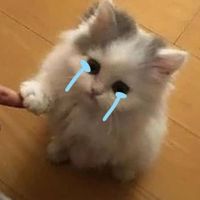 cr. ปอนน้อย/ cr 𝕻𝖎𝖞𝖆𝖙𝖍𝖎𝖉𝖆 . v.2 พิเศษ