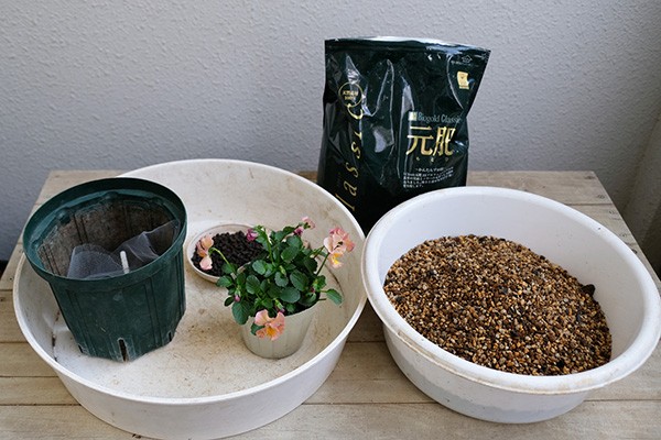 冬も満開 パンジーとビオラをベランダで育てる方法 ハルメク365