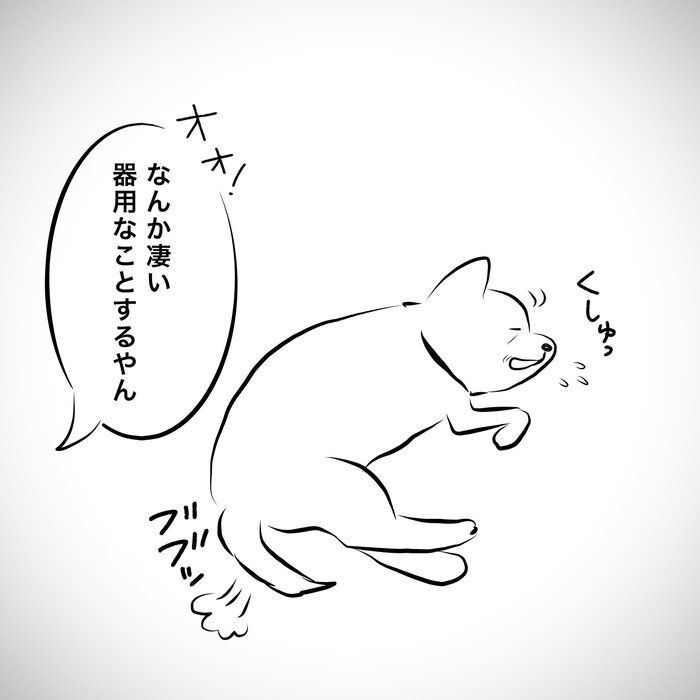 おばあちゃん犬のくしゃみとオナラ