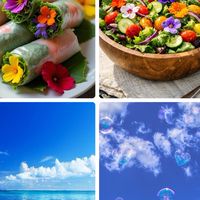 【女性限定】🌈💐☕️写真投稿部屋♪雑談ルーム⭐️🌙50代60代