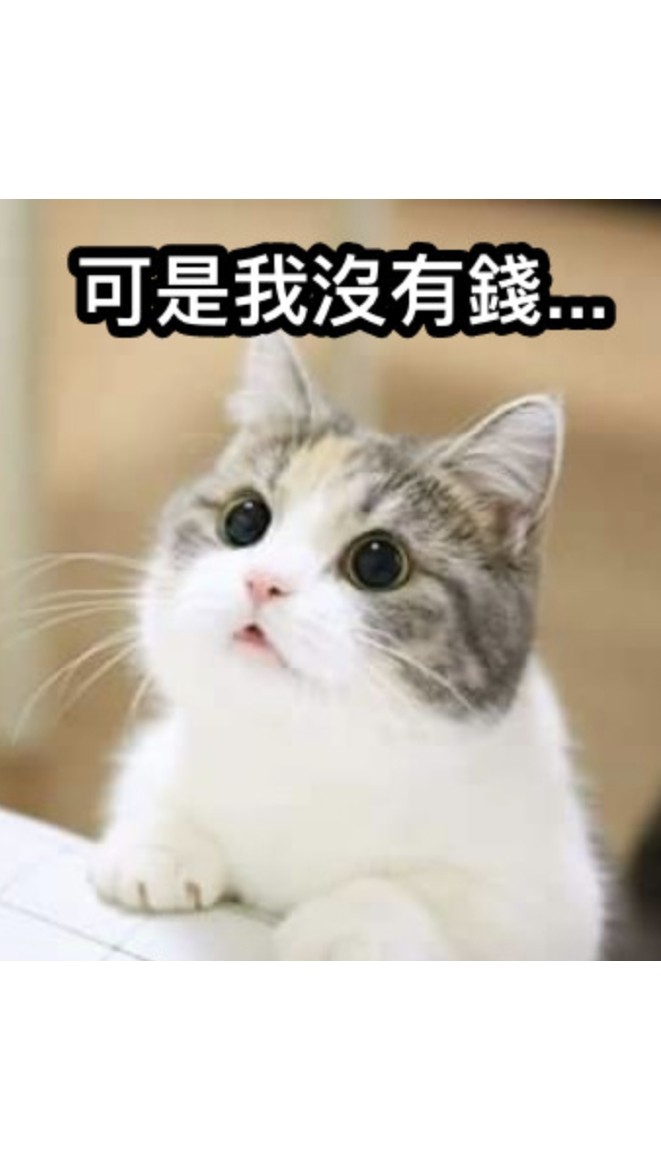 哪裡有瓜我就在哪
