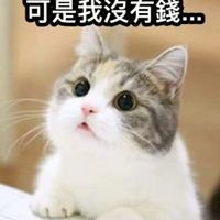 哪裡有瓜我就在哪