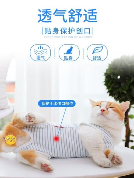 貓咪衣服貓手術服母貓絕育衣服斷奶服四腳貓咪衣服夏季薄款透氣貓咪絕育服 晶彩生活