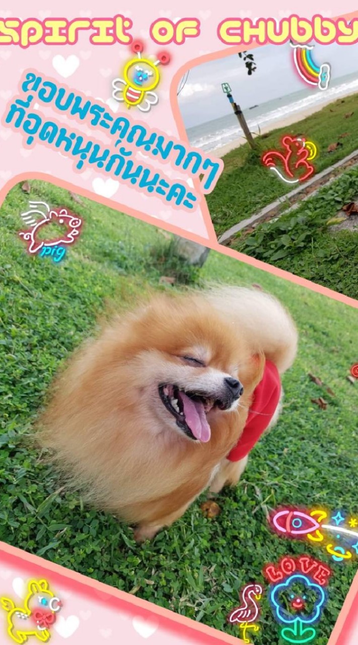 ชุดคนอ้วน by SOCH