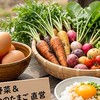 「一度で虜になる食卓｜田原の無農薬野菜と金のたまご」