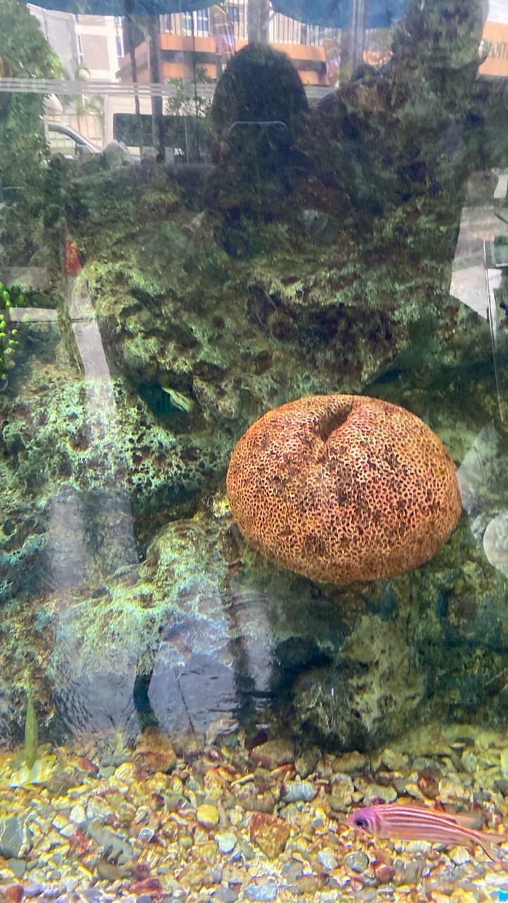 Mariculture 2/68