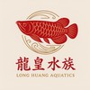 龍皇水族