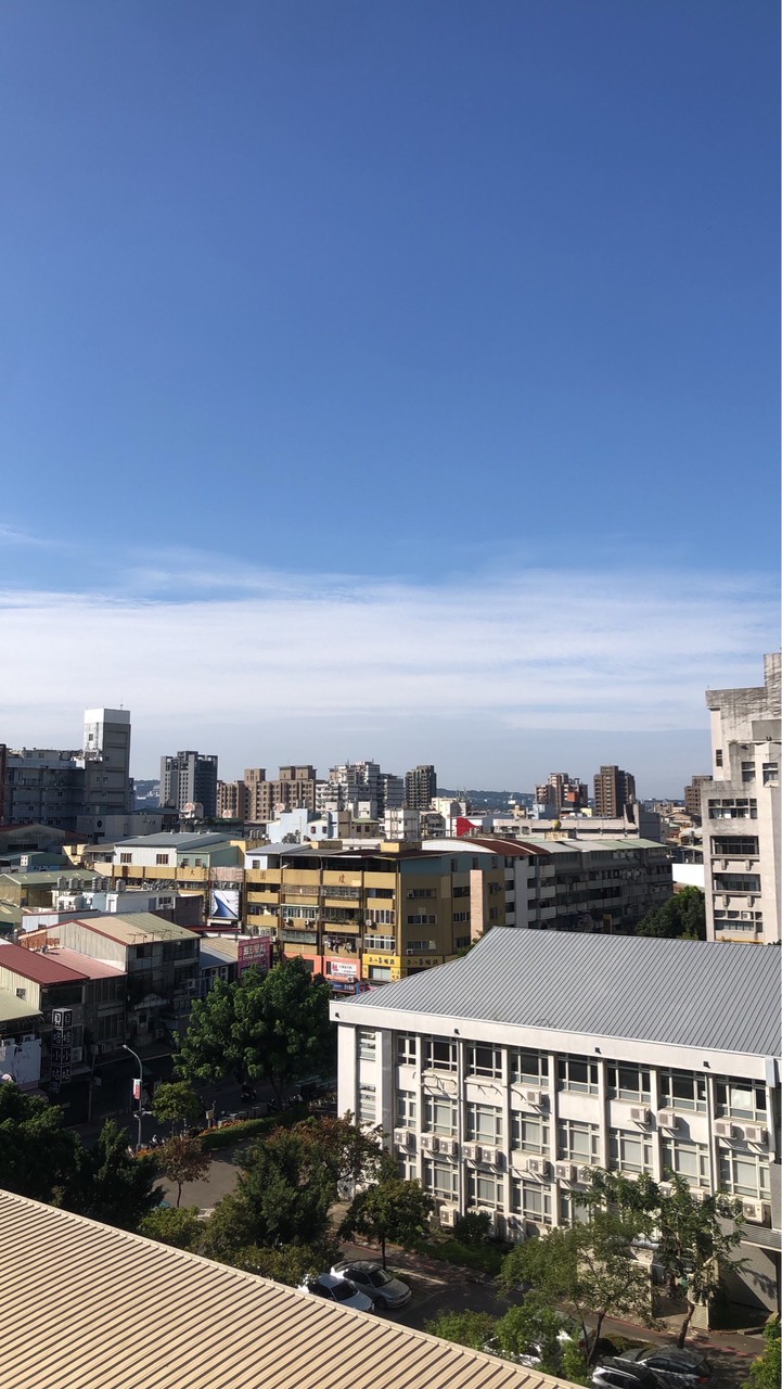 光照大鵬透明管理