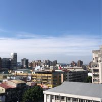 光照大鵬透明管理