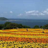 雷獣たちのいない場所