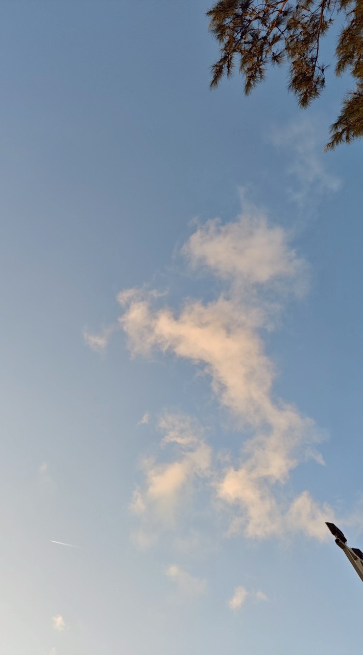 604同學群