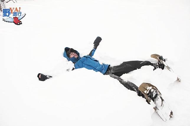 野生動物的的故鄉 釧路溼原蒼茫大地 @去旅行新聞網