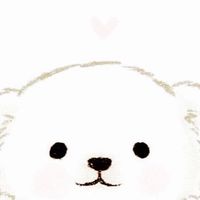 💤🐻‍❄️ YOUTA FAMILY 🐻‍❄️💤