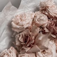 𝙍𝙤𝙤𝙢𝟳_𝙘𝙤𝙧𝙣𝙚𝙧⋆ ˚｡⋆୨୧˚