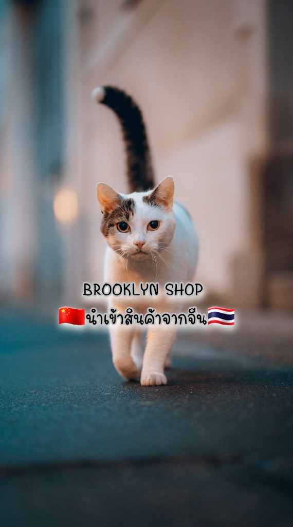 ⛩สินค้านำเข้าจากจีน🇨🇳 Brooklyn shop✈