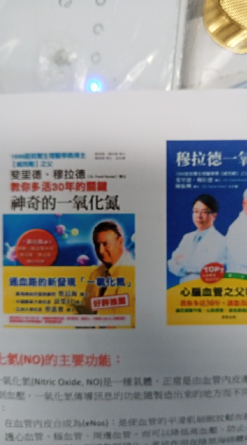 一氧化氮兩三事NO
