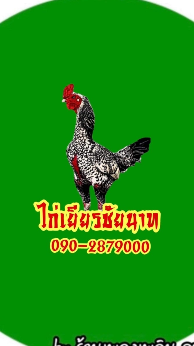 5 FCไก่เยียร์เสี่ยปอชัยนาท🐓