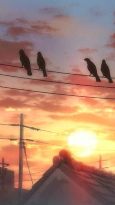 [ 𝘙𝘗 : 𝘏𝘈𝘐𝘒𝘠𝘜𝘜 𝘈𝘊𝘈𝘋𝘌𝘔𝘐𝘈 ]