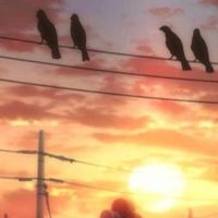 [ 𝘙𝘗 : 𝘏𝘈𝘐𝘒𝘠𝘜𝘜 𝘈𝘊𝘈𝘋𝘌𝘔𝘐𝘈 ]