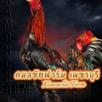 กมลชัยฟาร์ม เพชรบุรี  (กลุ่ม2)