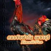 กมลชัยฟาร์ม เพชรบุรี  (กลุ่ม2)