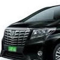 日本綠牌車聯盟