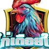 ไก่เดือยใต้