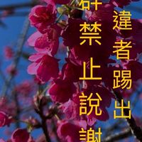 投資研究報告群