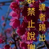 投資研究報告群