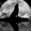 🌙ตระกูลจันทราพิภพ🌙