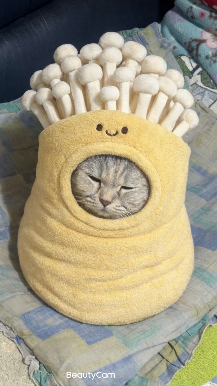 ไว้คุยกับบัดดี้