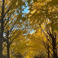 光が丘公園　ランニング