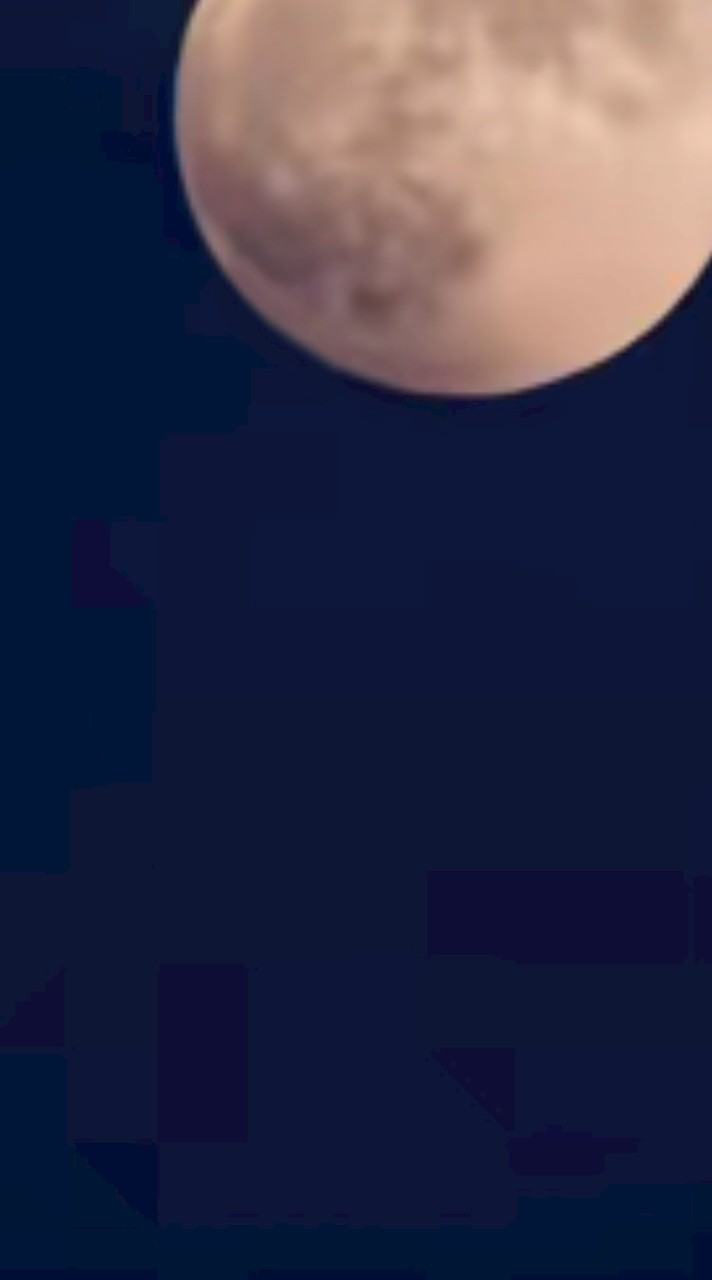 ジョジョ 同顔🐜 。緩也ハント 。