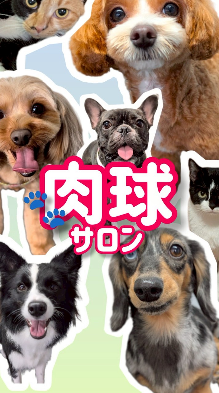 🐾肉球サロン🐾